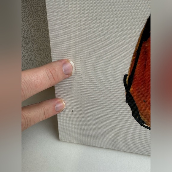 Fennec fox | Canvas Print | 16”x20” | Used - Picture 4 of 7